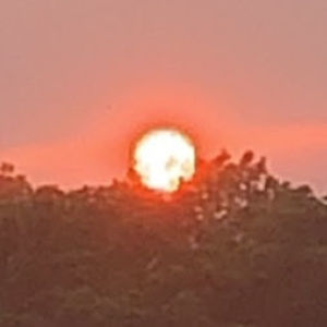 Meet your Posher, Gyrus